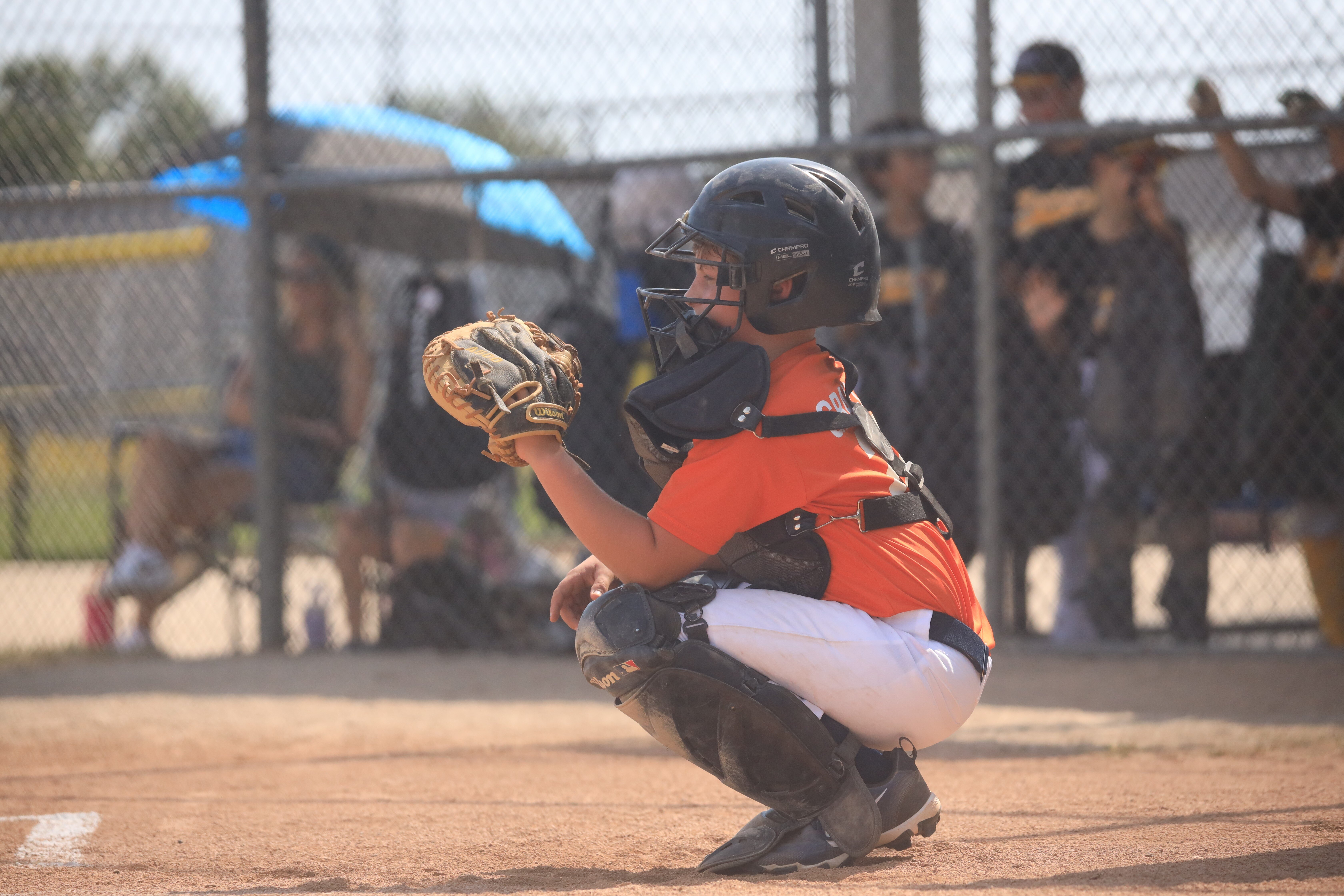 10-11 Tigers 1